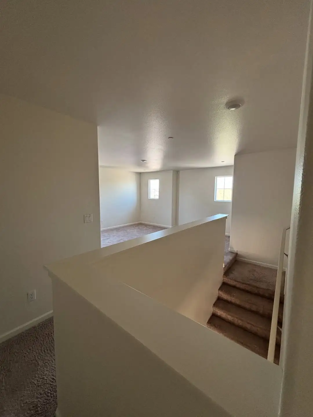 Professional painting project